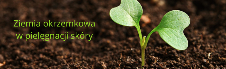 właściwości ziemi okrzemkowej